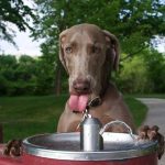 Apre al pubblico Casa Balla