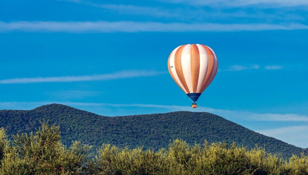 Da Musica in Quota a Volare sull'arte
